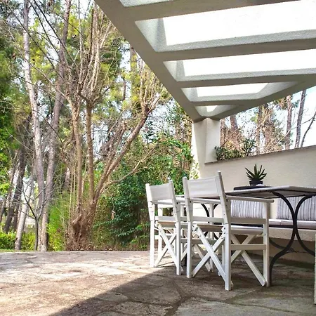 Villa Armonia By Halu! Sani