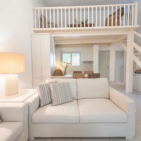 Armonia By Halu! Sani *